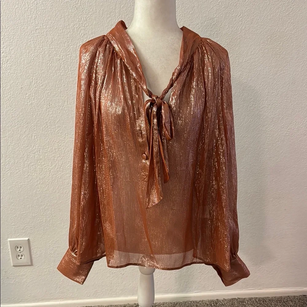 NWT Sezane Elegant Copper Sheer Blouse - Picture 2 of 4